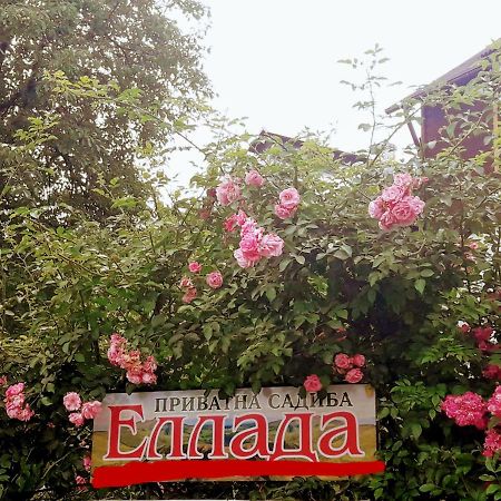 Sadyba Ellada ヤレムチャ エクステリア 写真
