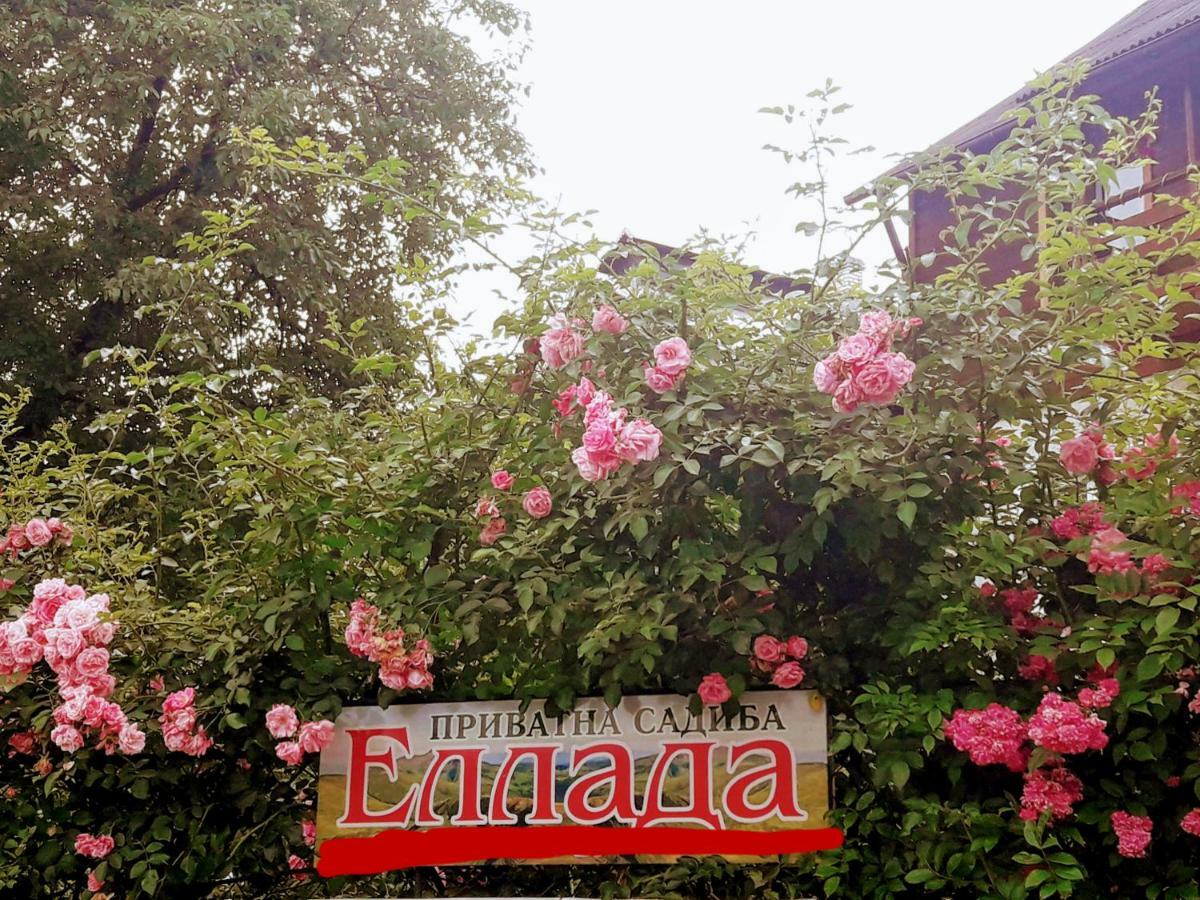 Sadyba Ellada ヤレムチャ エクステリア 写真